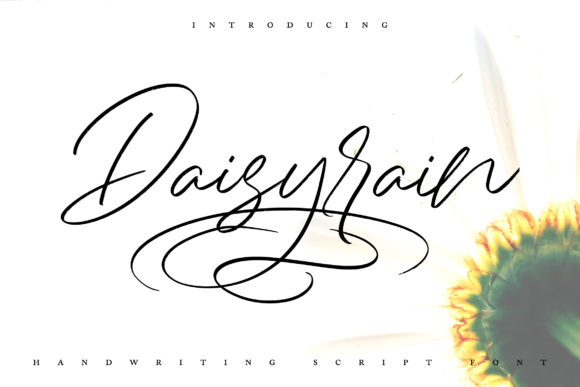 Daisy Rain: A Modern Script Handwritten Font for Makers