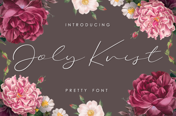 Joly Cvist: A Soft Script Font for Campaigns