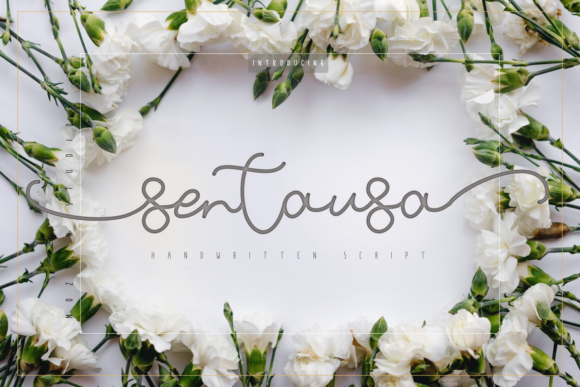 Sentausa Font Review for Makers
